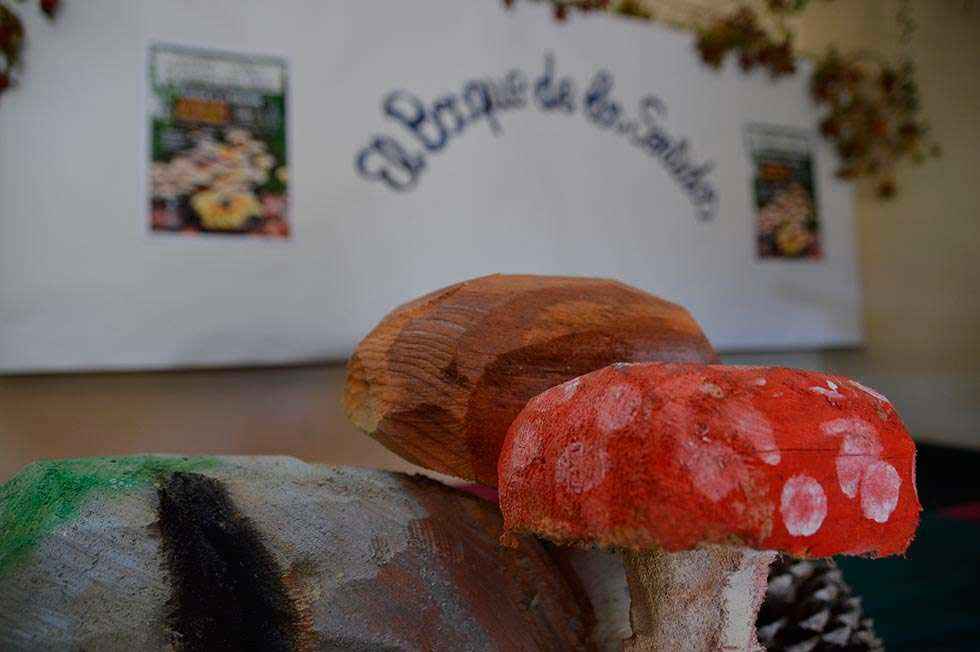 Almarza organiza la VIII edición de sus jornadas micológicas Almarza organiza la VIII edición de sus jornadas micológicas