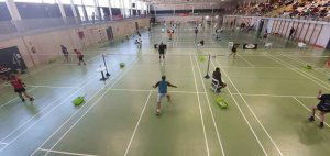 El bádminton soriano compite en circuito territorial vasco