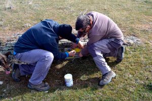 Tierras Altas remarca las señales del sendero GR 86