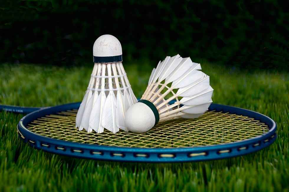 Buenos resultados del Club Bádminton Soria