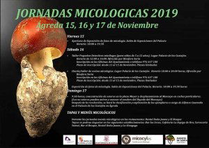 Jornadas micológicas en Ágreda