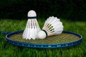 Buenos resultados del Club Bádminton Soria