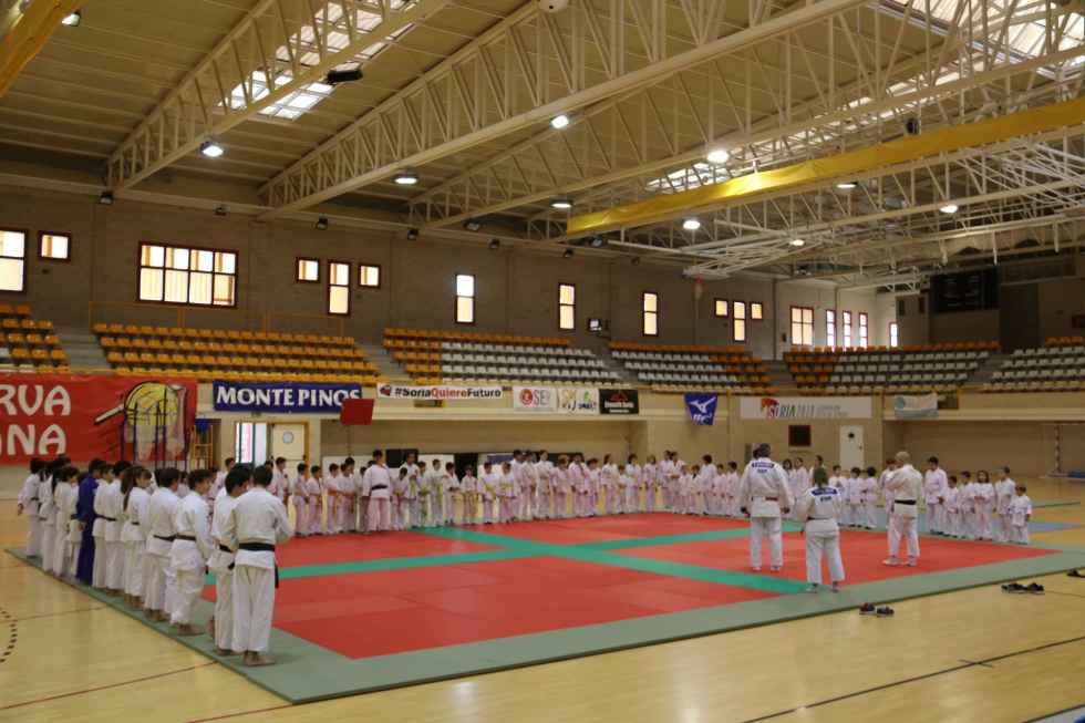 Un centenar de judokas en el tradicional festival de Navidad Un centenar de judokas en el tradicional festival de Navidad