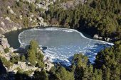 Control de vehículos en Laguna Negra en puente de Constitución