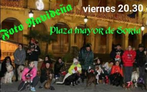 Soria Perruna da la bienvenida a la Navidad