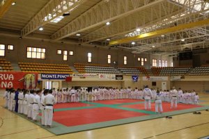 Un centenar de judokas en el tradicional festival de Navidad