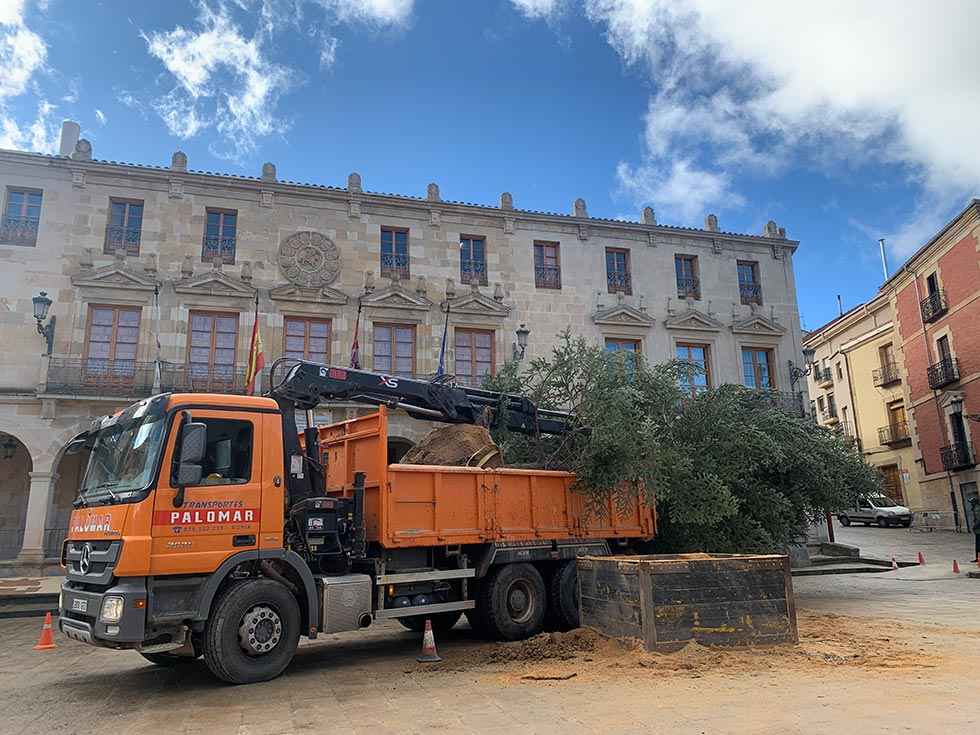 El árbol de Navidad, trasplantado a la avenida de Europa El árbol de Navidad, trasplantado a la avenida de Europa