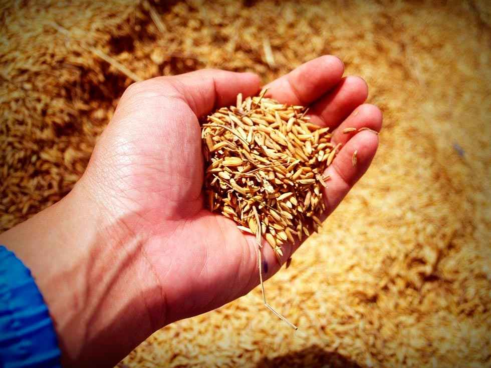 COAG cifra en 876 millones el recorte al campo COAG cifra en 876 millones el recorte al campo