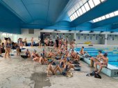 Competición y exhibición de natación con aletas