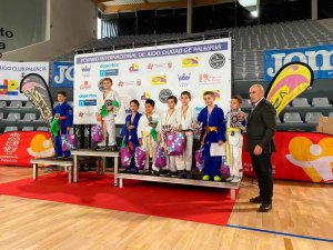 Buenos resultados del Judo Club Kodokan en Palencia