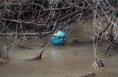 Libera recoge basuras en las riberas del río Izana