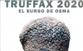 "Truffax 2020", primer mercado de trufa negra