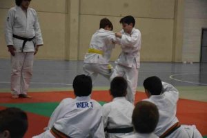 Campeonato Regional de Edad de Judo en Los Pajaritos