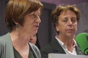 Moción de Podemos para colegios en Los Royales