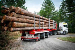 Cesefor resalta apoyo logístico de sector forestal contra Covid 19