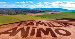 Ánimo labrado en la tierra para todos