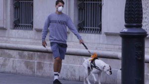 Decálogo veterinario para propietarios y mascotas