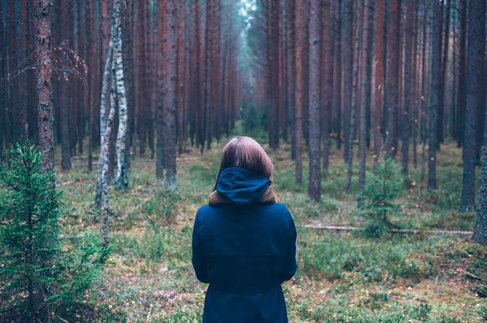 Cesefor participa en LIFE Legal Wood Cesefor participa en LIFE Legal Wood