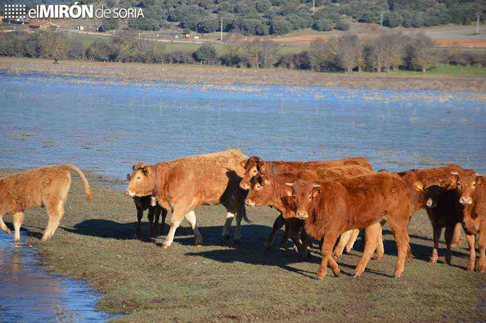 La Junta reafirma compromiso con eslabones de cadena alimentaria