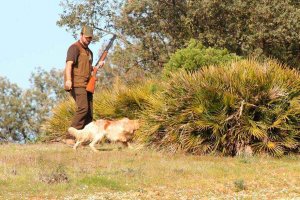 ANATUR propone medidas para la caza en estado de alerta