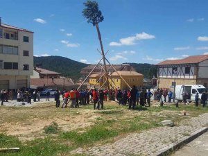 Navaleno aplaza la tradicional pingada del Mayo