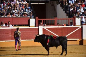 La Junta escucha problemas de los ganaderos de lidia