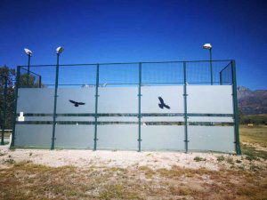 Medidas para evitar la mortandad de aves en pistas de pádel Medidas para evitar la mortandad de aves en pistas de pádel