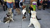 Voluntariado de Soria Perruna frente al Covid Voluntariado de Soria Perruna frente al Covid