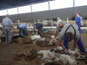 El campo no necesita temporeros hasta primeros de julio