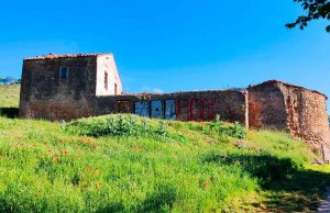 La iglesia de San Agustín el Viejo,  olvidada a su suerte