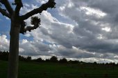 Jornada de tormentas en Soria