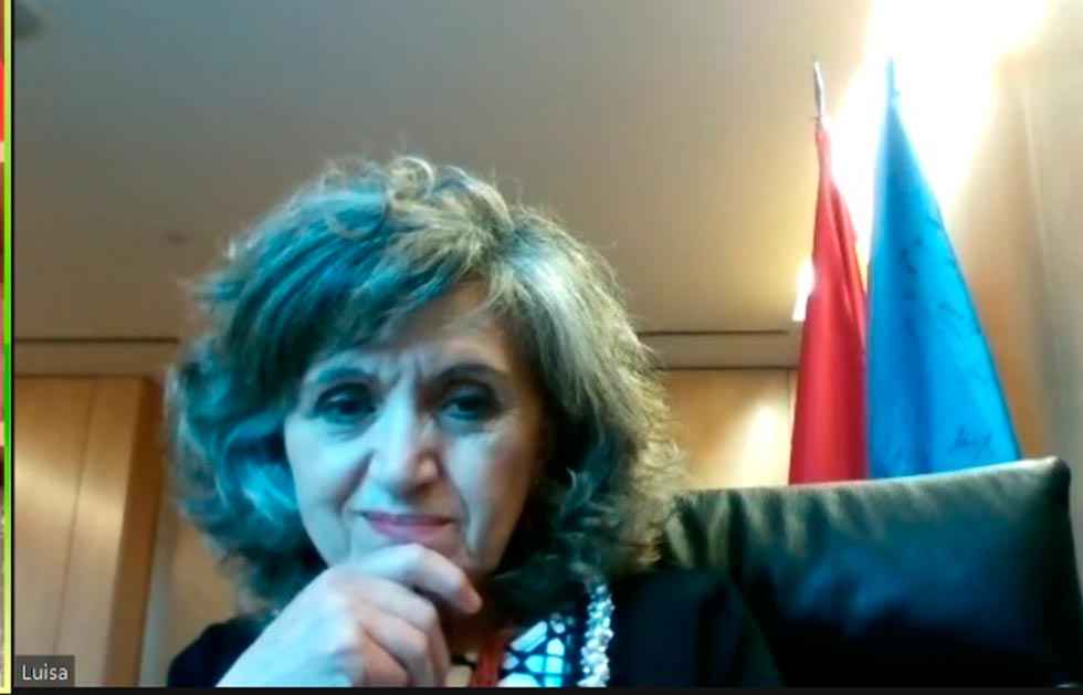 Carcedo: "El IMV es medida económica de primera magnitud" Carcedo: "El IMV es medida económica de primera magnitud"