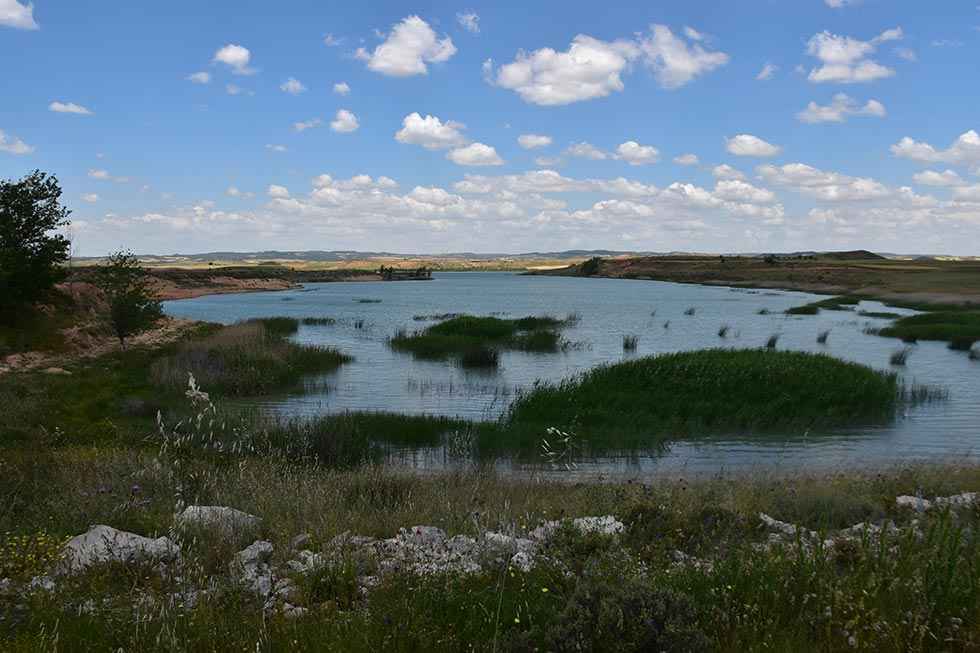 El embalse de Monteagudo, un lugar para observar aves o pescar