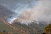 Blindaje a la coordinación de gestión de incendios y emergencias