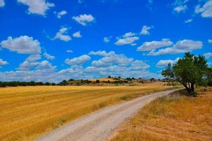 El ITACyL consigue un nuevo proyecto innovador