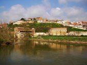 Buscan un cocodrilo en el río Pisuerga, en Simancas