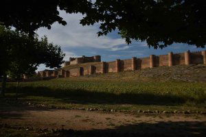 Bases del LVI Certamen de Fotografía de Castilla y León Bases del LVI Certamen de Fotografía de Castilla y León