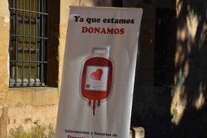 Conmemoración del Día Mundial del Donante de Sangre