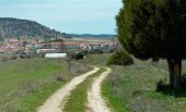 Reparación de pistas forestales en Cabrejas del Pinar