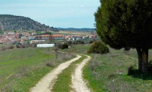 Reparación de pistas forestales en Cabrejas del Pinar