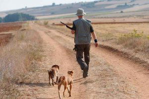 La Junta facilita obtención de licencia de caza o pesca La Junta facilita obtención de licencia de caza o pesca