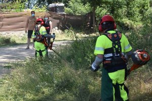 Las brigadas forestales actuarán en 125 localidades