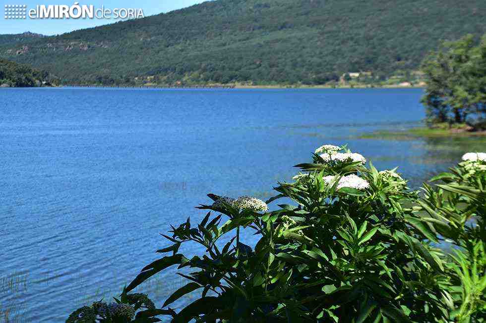 La Cuerda del Pozo, al 82 por ciento de su capacidad