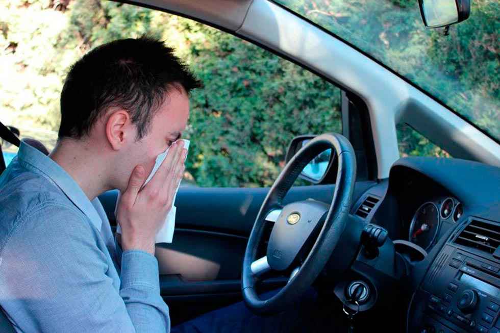 Conductor alérgico, ¿peligro al volante? 