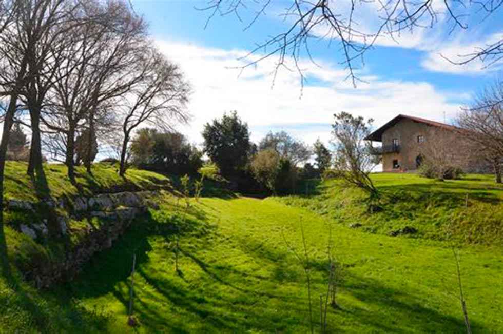 El Museo de Altamira retoma las visitas a la cueva 