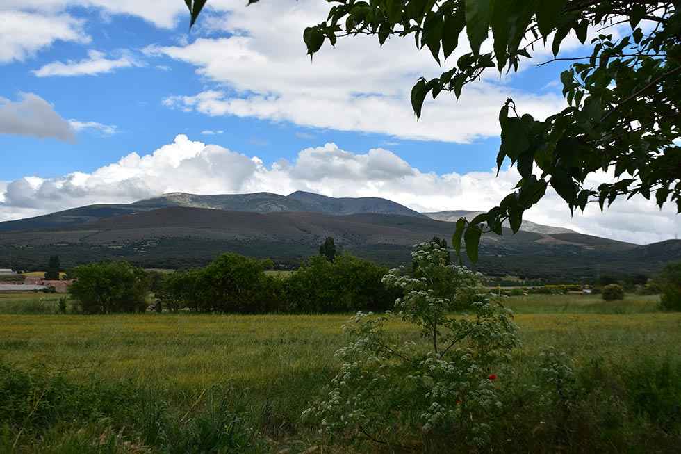 Alerta por altas temperaturas y riesgo de incendios