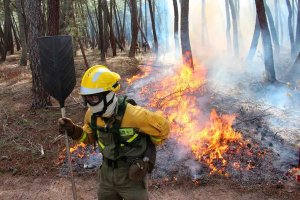 Doce conatos y un incendio forestal, en seis meses