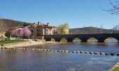 Doce positivos de Covid en campamento de Salduero