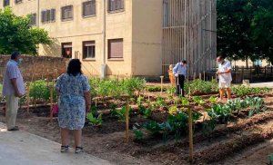 La residencia San José amplia talleres con huerto