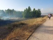 Incendio de chopera natural en Matalama de Almazán